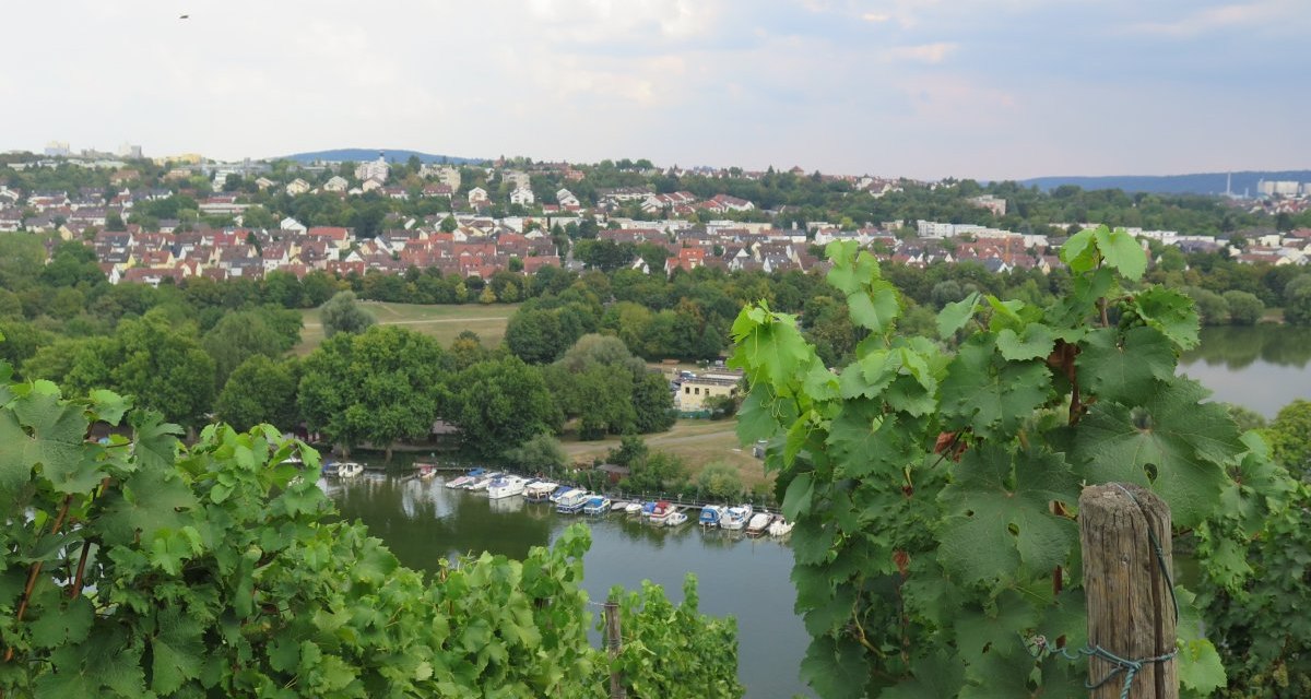 Vines in the foreground, behind them Lake Max-Eyth with boats. A housing estate and wooded hills in the background., © Stuttgart-Marketing GmbH Vines in the foreground, behind them Lake Max-Eyth with boats. A housing estate and wooded hills in the background., © Stuttgart-Marketing GmbH