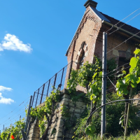 Weinberghäusle, © Sideline Wine GmbH Weinberghäusle, © Sideline Wine GmbH