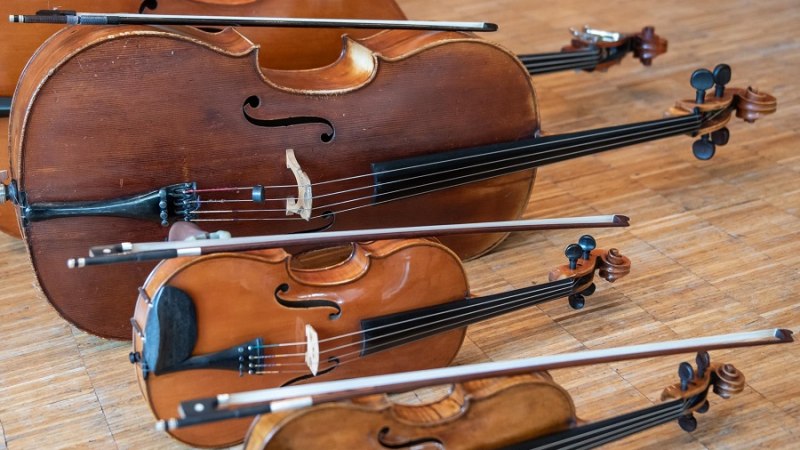 Die Instrumente gibt es f&uuml;r Kinder auch in kleinerer Form., &copy; Jens Volle