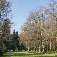 A woodland cemetery with a green meadow surrounded by tall trees. A large cross can be seen in the background., © Stuttgart-Marketing GmbH