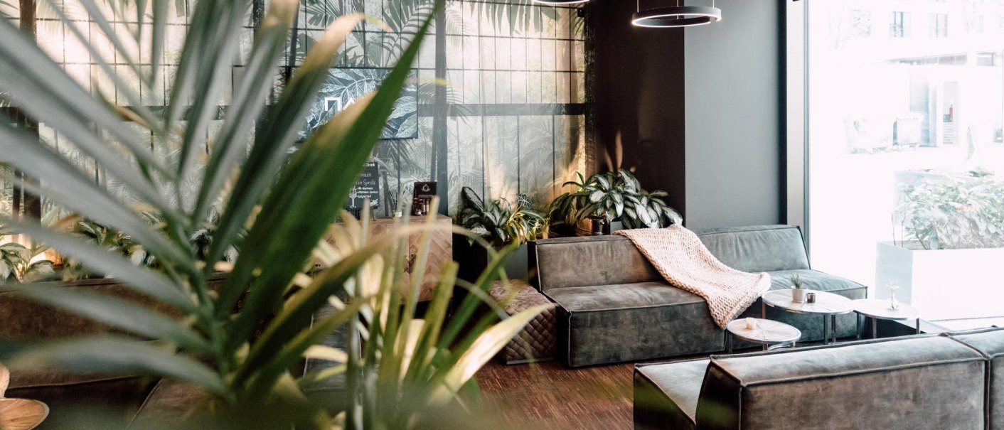 A cozy lounge area with green sofas, plants and a large window. A knitted plaid lies on a sofa., © Malo Stuttgart - Lea Prestle