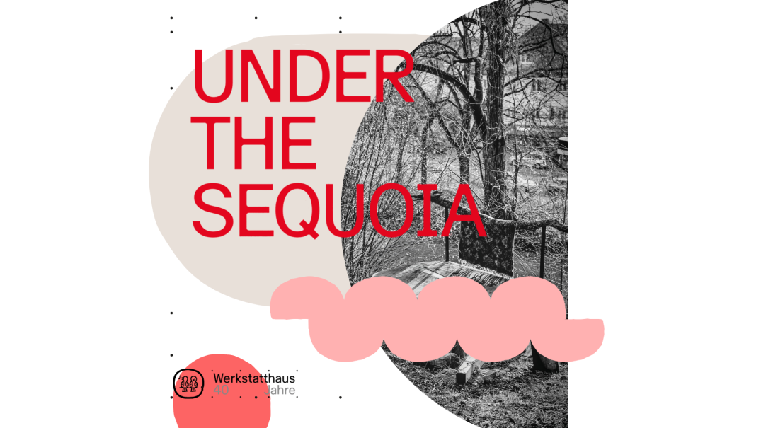 Under the Sequoia, © Werkstatthaus & Feierabendkollektiv
