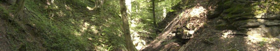 Tumescent blade, © Stuttgarter Straßenbahnen AG