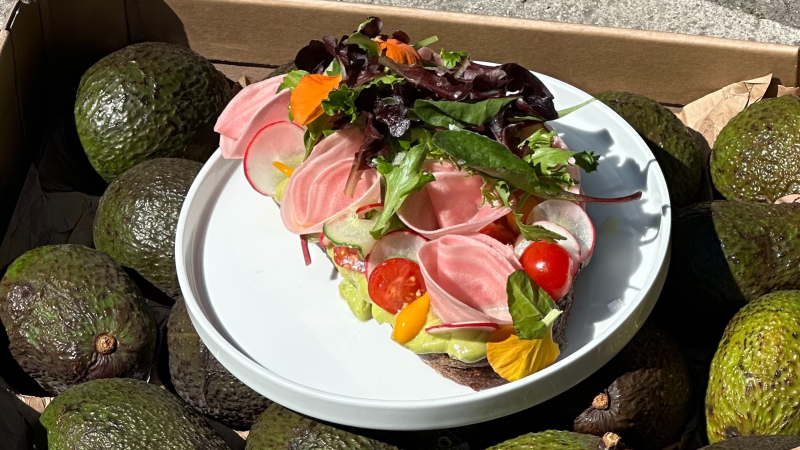 Ein belegtes Brot mit Gem&uuml;se und Salat auf einem Teller, umgeben von Avocados in einer Kiste., &copy; Kaleya, Stuttgart