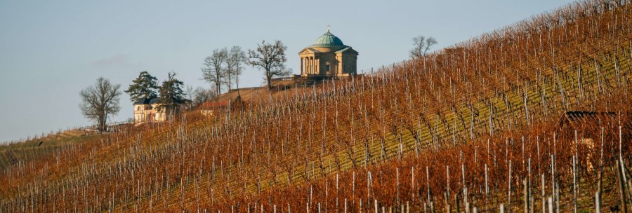 Weinberge erstrecken sich über einen Hügel, im Hintergrund steht ein Mausoleum auf der Kuppe, umgeben von kahlen Bäumen., © SMG, Thomas Niedermüller