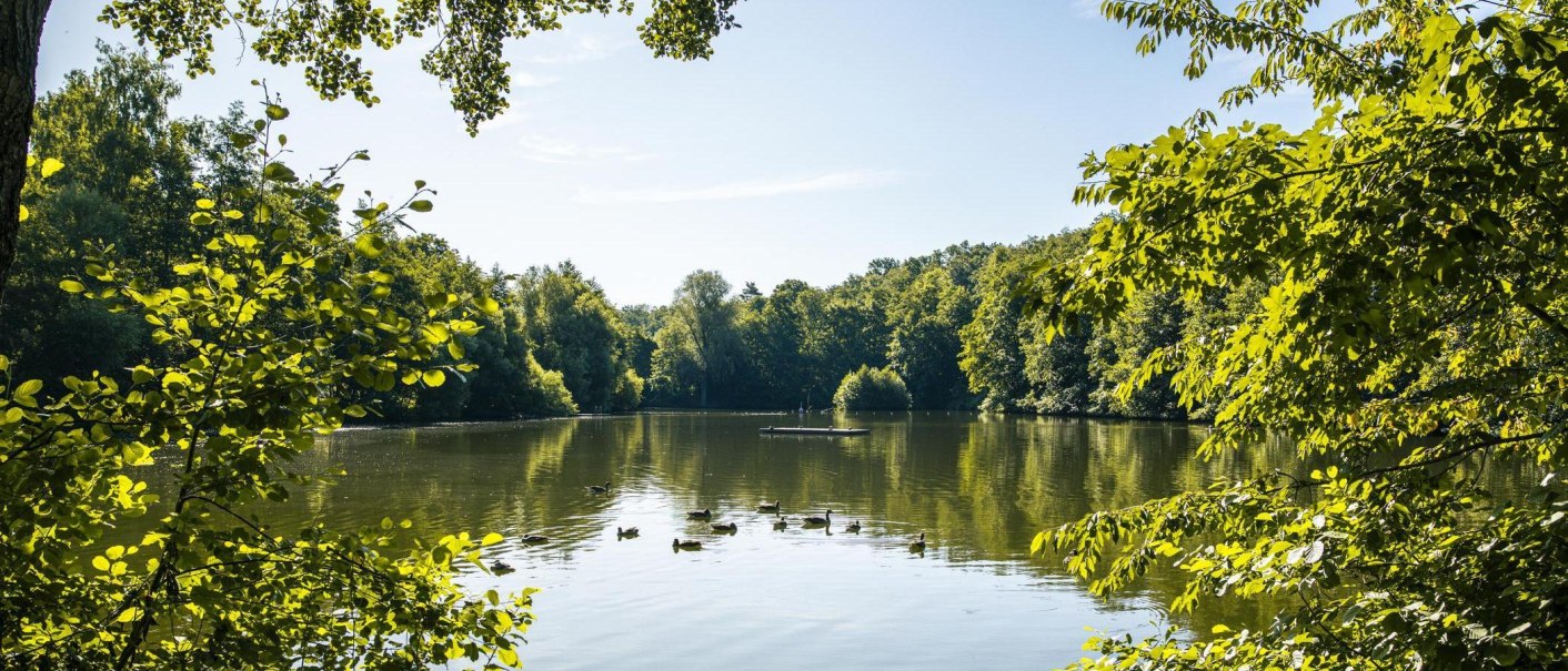 An idyllic lake in Kirchheim, surrounded by lush greenery. Ducks swim on the water while the sun shines through the leaves., © SMG Stuttgart Marketing GmbH - Sarah Schmid An idyllic lake in Kirchheim, surrounded by lush greenery. Ducks swim on the water while the sun shines through the leaves., © SMG Stuttgart Marketing GmbH - Sarah Schmid