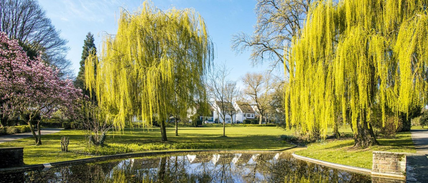 An idyllic park with blossoming trees and a small pond. The trees are reflected in the water, and the sky is clear and blue., © SMG Stuttgart Marketing GmbH - Sarah Schmid An idyllic park with blossoming trees and a small pond. The trees are reflected in the water, and the sky is clear and blue., © SMG Stuttgart Marketing GmbH - Sarah Schmid