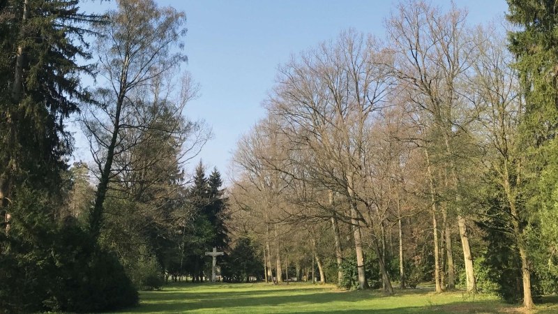A woodland cemetery with a green meadow surrounded by tall trees. A large cross can be seen in the background., © Stuttgart-Marketing GmbH A woodland cemetery with a green meadow surrounded by tall trees. A large cross can be seen in the background., © Stuttgart-Marketing GmbH