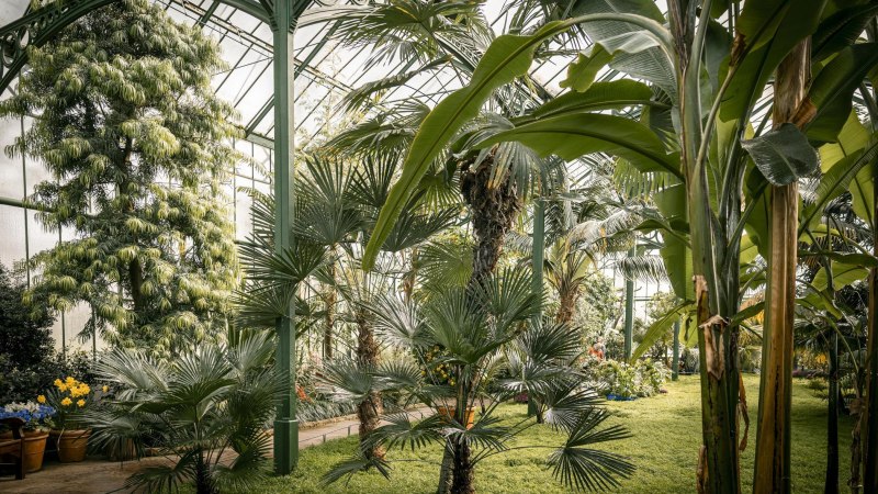 Tropenhaus Wilhelma Stuttgart, &copy; Stuttgart-Marketing GmbH, Sarah Schmid
