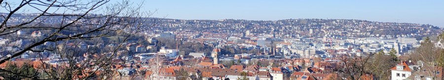 Stadtansicht mit roten Dächern unter klarem, blauem Himmel. Im Vordergrund Bäume und ein Holzzaun., © SMG