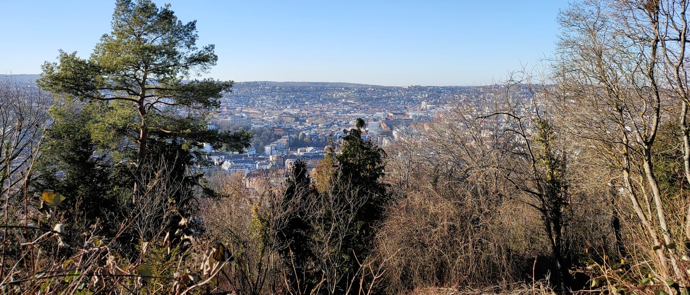 Blick von einem bewaldeten Hügel auf eine Stadt im Tal, umgeben von kahlen Bäumen und einem klaren blauen Himmel., © SMG