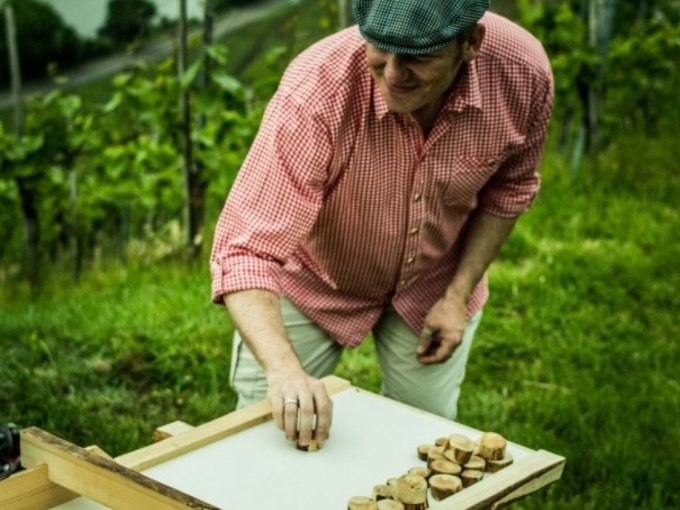 A man in a plaid shirt and cap plays a game with wooden disks on a table in the vineyard., © Cool-Tours StattReisen A man in a plaid shirt and cap plays a game with wooden disks on a table in the vineyard., © Cool-Tours StattReisen