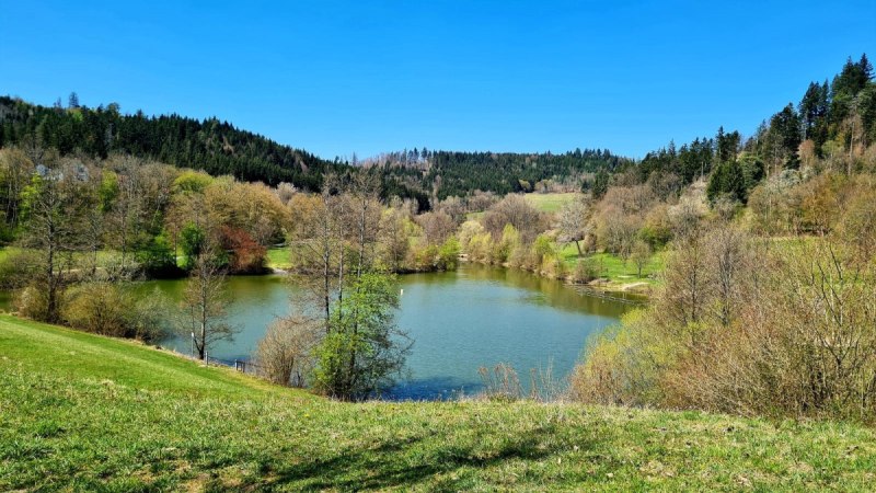 Inklusive Wanderbotschafter:innen - Diebachsee - Barrierefreie Wanderung mit Start in Fichtenberg