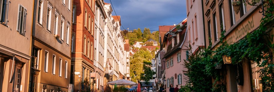 Bean quarter, © SMG Thomas Niedermüller