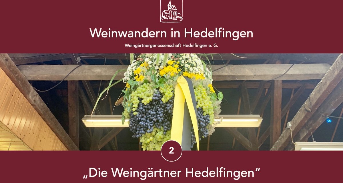 Grapes and flowers hang decoratively in a barn. At the top it says 'Weinwandern in Hedelfingen', at the bottom 'Die Weingärtner Hedelfingen'., © Lukas Alperowitz Grapes and flowers hang decoratively in a barn. At the top it says 'Weinwandern in Hedelfingen', at the bottom 'Die Weingärtner Hedelfingen'., © Lukas Alperowitz