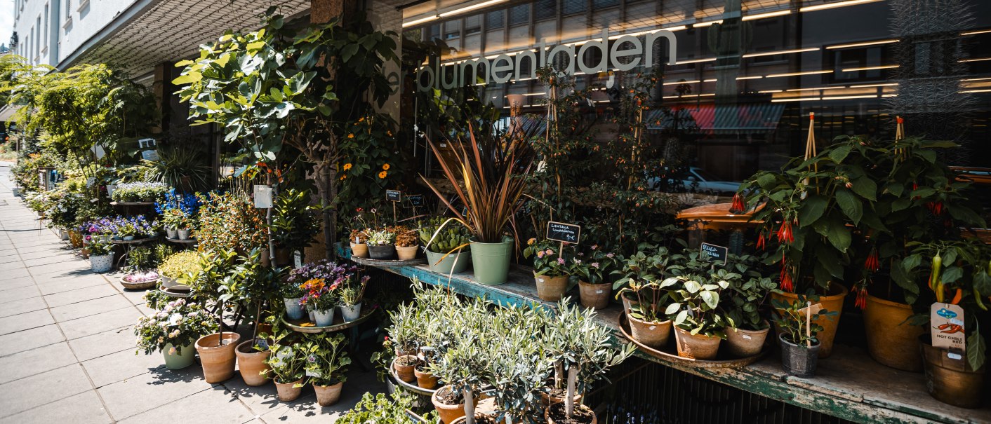 Ein Blumenladen mit vielen Pflanzen und Blumen in Töpfen vor dem Schaufenster. Die Fassade ist mit einem Gitter überdacht., © SMG Stuttgart Marketing GmbH - Sarah Schmid Ein Blumenladen mit vielen Pflanzen und Blumen in Töpfen vor dem Schaufenster. Die Fassade ist mit einem Gitter überdacht., © SMG Stuttgart Marketing GmbH - Sarah Schmid