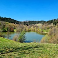 Inclusive hiking ambassadors - Diebachsee - barrier-free hike starting in Fichtenberg Inclusive hiking ambassadors - Diebachsee - barrier-free hike starting in Fichtenberg