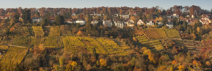 Rohracker vineyards, &copy; Steilwerk Rohracker