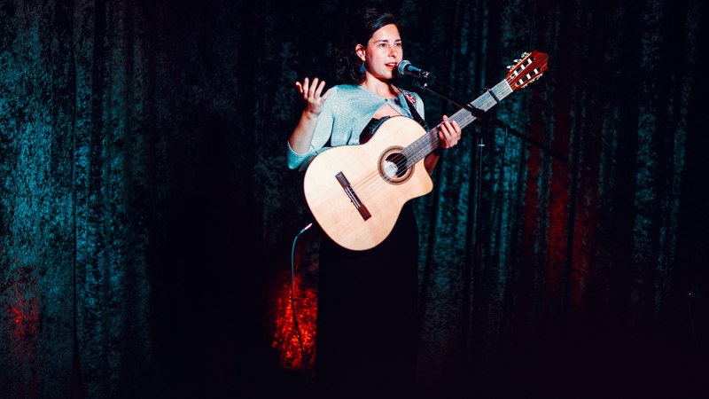 A musician stands on a stage with a guitar and speaks into a microphone. The background is dark with red and blue lighting., &copy; Paula Linke