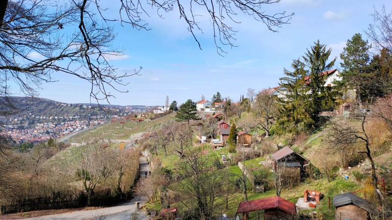 Hügelige Landschaft mit Weinbergen und kleinen Hütten, im Hintergrund eine Stadt. Bäume ohne Blätter rahmen das Bild ein, blauer Himmel., © SMG Hügelige Landschaft mit Weinbergen und kleinen Hütten, im Hintergrund eine Stadt. Bäume ohne Blätter rahmen das Bild ein, blauer Himmel., © SMG
