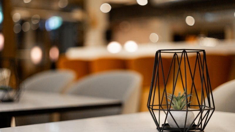Geometric table decor with plant in a modern ambience, blurred background with warm colors., © GINN Apartments Esslingen Geometric table decor with plant in a modern ambience, blurred background with warm colors., © GINN Apartments Esslingen