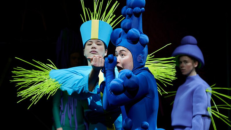 Pinocchios Abenteuer, © Württembergische Staatstheater Stuttgart