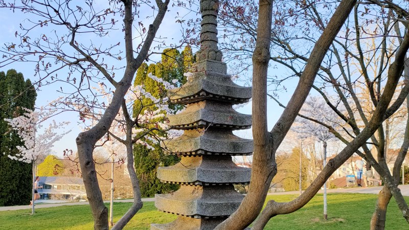 Eine Steinpagode steht in einem Garten, umgeben von blühenden Bäumen und grünem Rasen. Der Himmel ist klar und blau., © SMG Eine Steinpagode steht in einem Garten, umgeben von blühenden Bäumen und grünem Rasen. Der Himmel ist klar und blau., © SMG