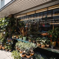 Ein Blumenladen mit vielen Pflanzen und Blumen in T&ouml;pfen vor dem Schaufenster. Die Fassade ist mit einem Gitter &uuml;berdacht., &copy; SMG Stuttgart Marketing GmbH - Sarah Schmid