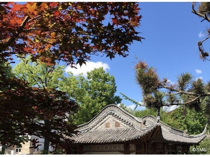 Traditionelles asiatisches Geb&auml;ude mit geschwungenem Dach, umgeben von buntem Laub und blauem Himmel., &copy; Stuttgart Marketing GmbH