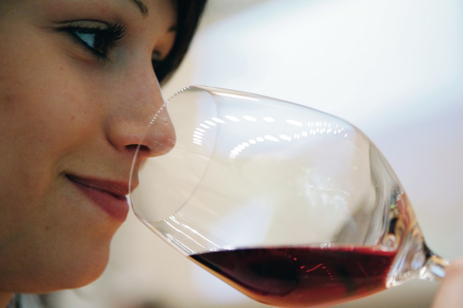 Wine Tasting, © Stuttgart-Marketing GmbH Wine Tasting, © Stuttgart-Marketing GmbH