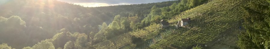 Sonnenuntergang über einem Weinberg im Dürrbachtal. Die Sonne strahlt über die Hügel, während kleine Hütten zwischen den Reben stehen., © Gut Rohreck Sonnenuntergang über einem Weinberg im Dürrbachtal. Die Sonne strahlt über die Hügel, während kleine Hütten zwischen den Reben stehen., © Gut Rohreck