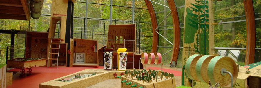 Innenansicht der Ausstellung im Haus des Waldes mit Holzinstallationen, Modellen und Waldmotiven. Gro&szlig;e Fenster bieten Blick auf den Wald., &copy; Haus des Waldes