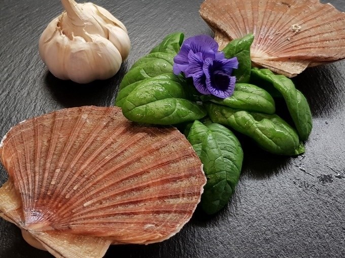 Mussel shells, fresh spinach leaves, garlic and a purple flower arranged on a black background., &copy; Kultweine-Kochwelten-Kunst&uuml;cke - Kochschule Sonja Lenz