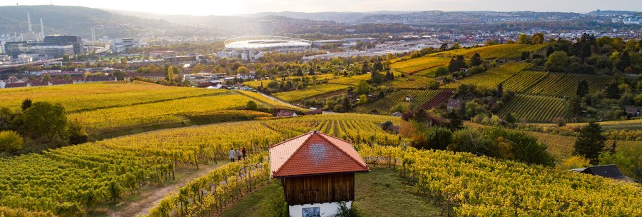 Vineyards in the foreground with a small building. A cityscape with a stadium and hills can be seen in the background., © Weingut Wöhrwag
