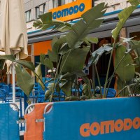 Au&szlig;enbereich eines Caf&eacute;s mit blauen St&uuml;hlen, Tischen und Pflanzen. Das Schild 'comodo' ist sichtbar. Sonnenschirme sind aufgestellt., &copy; Stuttgart Marketing GmbH, Sarah Schmid