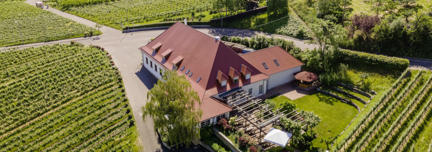 Luftaufnahme eines Geb&auml;udes mit rotem Dach, umgeben von Weinbergen und gr&uuml;ner Landschaft. Ein Garten mit Pergola und Sonnenschirm ist sichtbar., &copy; Collegium Wirtemberg