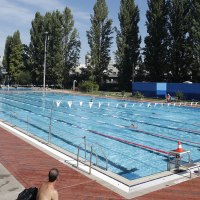 Ein Freibad mit Schwimmern und Sonnenbadenden auf Liegestühlen. Hohe Bäume umgeben das Becken. Menschen genießen das sonnige Wetter., © Stuttgarter Bäder Ein Freibad mit Schwimmern und Sonnenbadenden auf Liegestühlen. Hohe Bäume umgeben das Becken. Menschen genießen das sonnige Wetter., © Stuttgarter Bäder