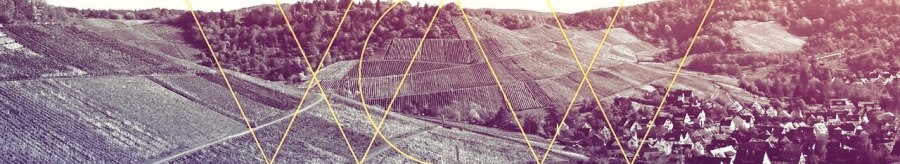 Weinberge erstrecken sich über Hügel, ein Dorf liegt im Hintergrund. Geometrische Linien überlagern das Bild, das in einem Sepia-Ton gehalten ist., © Weinbau Wieder Weinberge erstrecken sich über Hügel, ein Dorf liegt im Hintergrund. Geometrische Linien überlagern das Bild, das in einem Sepia-Ton gehalten ist., © Weinbau Wieder