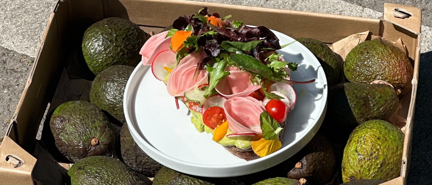 A sandwich with vegetables and lettuce on a plate, surrounded by avocados in a box., © Kaleya, Stuttgart A sandwich with vegetables and lettuce on a plate, surrounded by avocados in a box., © Kaleya, Stuttgart