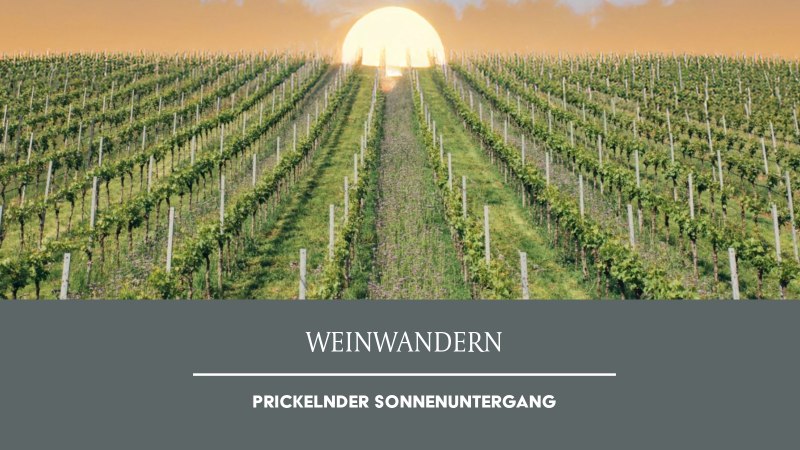 Ein Weinberg erstreckt sich unter einem orangefarbenen Himmel bei Sonnenuntergang. Der Titel 'Weinwandern' ist darunter zu sehen., © Weinmanufaktur Stuttgart eG Ein Weinberg erstreckt sich unter einem orangefarbenen Himmel bei Sonnenuntergang. Der Titel 'Weinwandern' ist darunter zu sehen., © Weinmanufaktur Stuttgart eG