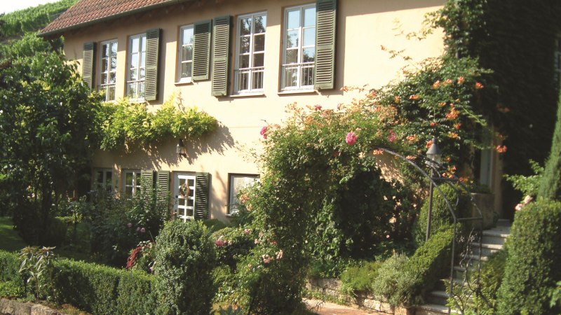 Rosenbogen am Weingut Wöhrwag, © Weingut Karl Wöhrwag Rosenbogen am Weingut Wöhrwag, © Weingut Karl Wöhrwag