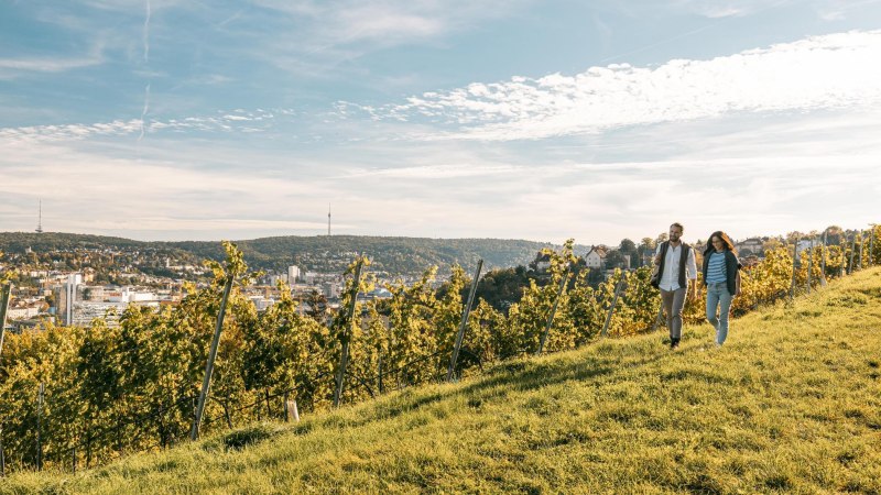 Mönchhalde Viertel Facts, © Stuttgart-Marketing GmbH, Sarah Schmid