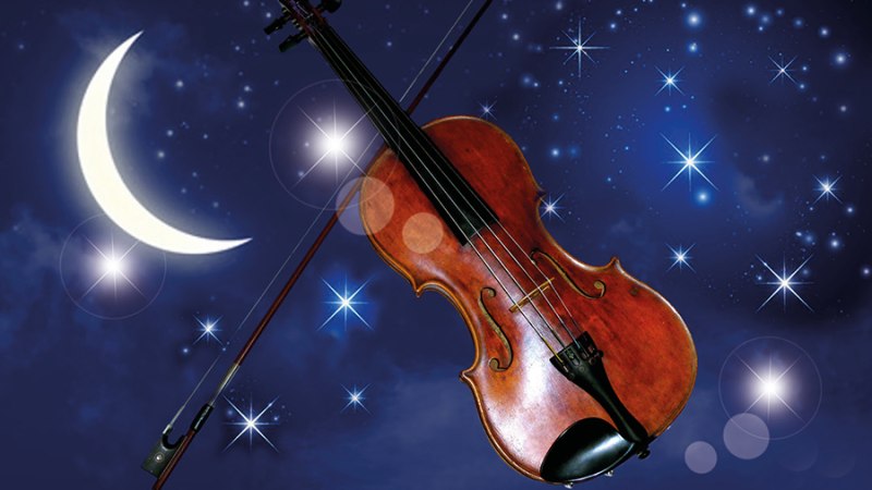 Adventskonzert, &copy; Dresdner Residenz Orchester