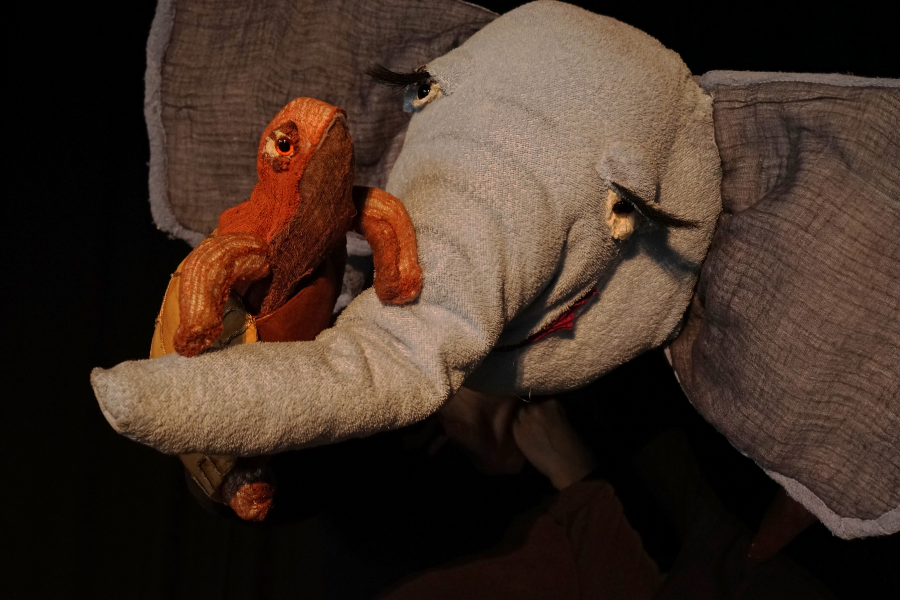 Ein Ehrenplatz auf dem R&uuml;ssel des Elefanten., &copy; Michael Fr&ouml;hlich