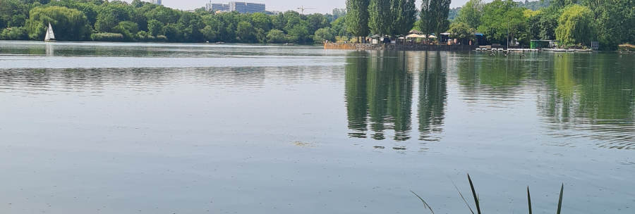 The Max-Eyth-See in Stuttgart with calm water, a sailing boat and trees on the shore. Buildings are visible in the background., © Stuttgart-Marketing GmbH, Sandra Nörpel