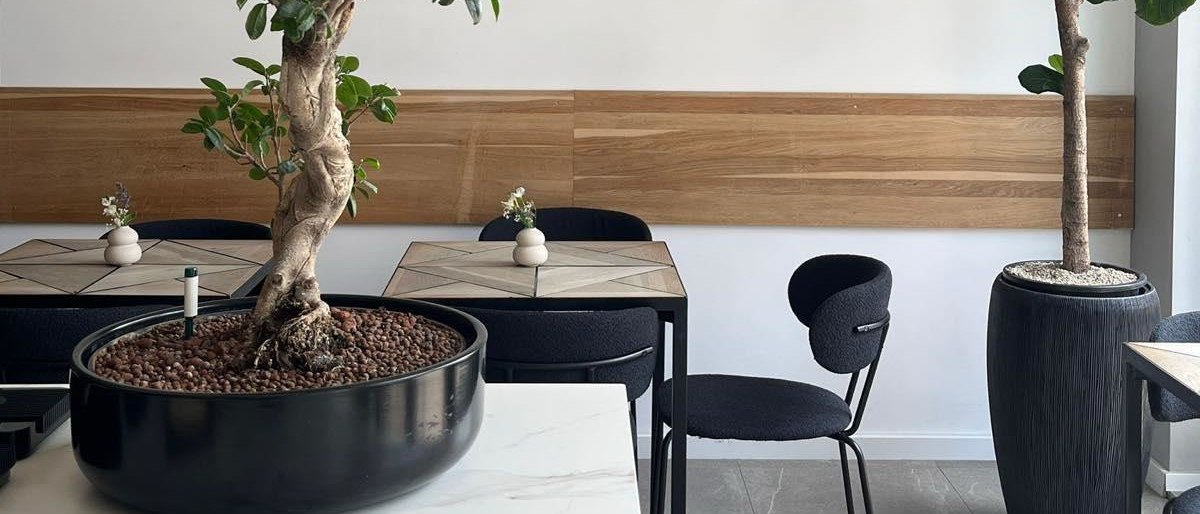 Modernes Café-Interieur mit Holztischen, schwarzen Stühlen und großen Zimmerbäumen in schwarzen Pflanzgefäßen., © Taraba Modernes Café-Interieur mit Holztischen, schwarzen Stühlen und großen Zimmerbäumen in schwarzen Pflanzgefäßen., © Taraba