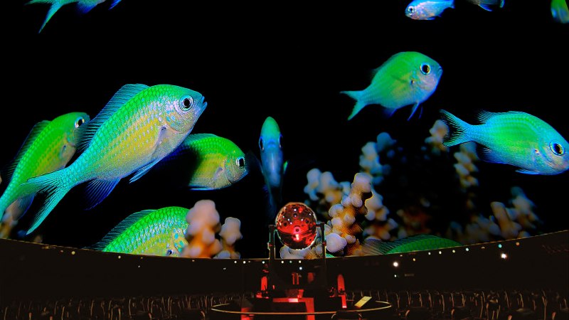 Underwater Beats Audiovisuelle Tauchgänge, © Planetarium Stuttgart Underwater Beats Audiovisuelle Tauchgänge, © Planetarium Stuttgart