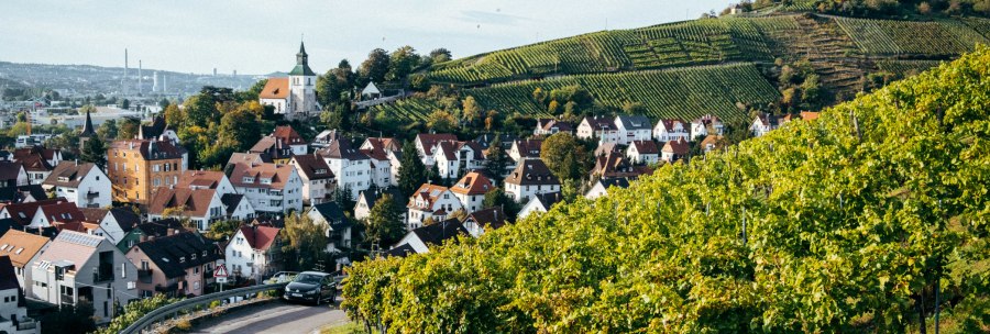 Vineyards stretch over a hill, in the foreground a road with a car. In the background a village with a church and houses., © Weingut Zaiß