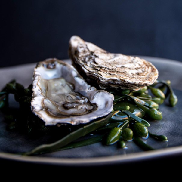 Two oysters on a plate, decorated with fresh seaweed. The oyster shells are open and show the inside of the shells., © FrischeParadies GmbH & Co. KG Two oysters on a plate, decorated with fresh seaweed. The oyster shells are open and show the inside of the shells., © FrischeParadies GmbH & Co. KG