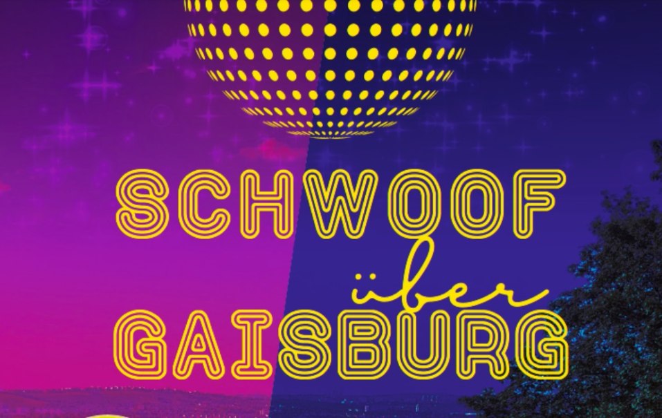 Schwoof über Gaisburg - Tanzen für Alle, © Waldheim Gaisburg Schwoof über Gaisburg - Tanzen für Alle, © Waldheim Gaisburg